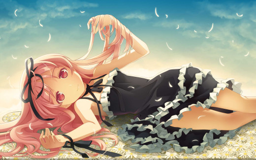 204335 (a): :2560x1600